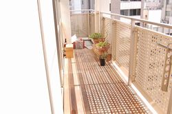terras before.jpg